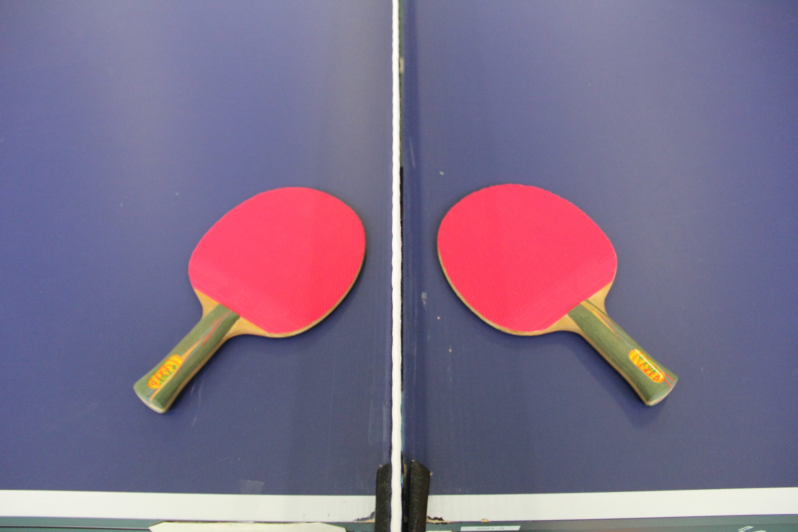 Nordhorn Brettchen Open – Tischtennis mit einheitlichen Schlägern